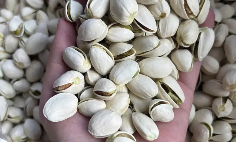 Đàn ông ăn đủ 5 nhóm thực phẩm mỗi tuần sẽ giảm viêm mạn tính