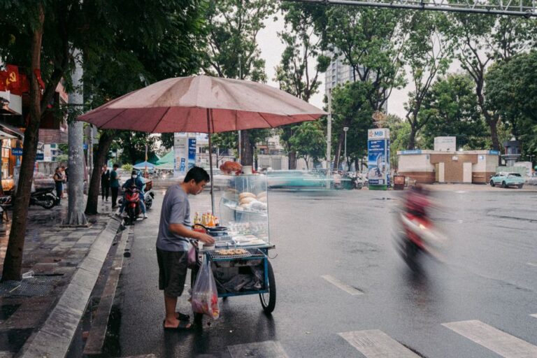 Đưa con ngắm đàn cò trắng giữa phố Huế cuối tuần này